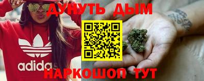 индика Абакан